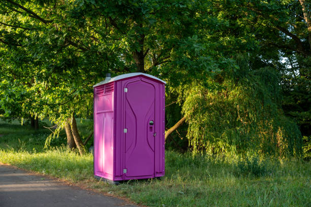Porta potty rental for festivals in Lapeer, MI